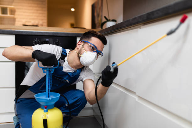 Best Wasp Removal Services  in Kincheloe, MI