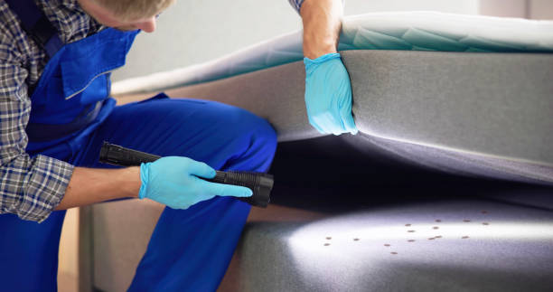 Best Best Pest Control Companies  in Kincheloe, MI