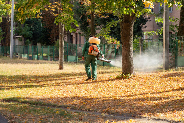 Reliable Kincheloe, MI Pest Control Solutions