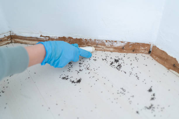 Best Pest Prevention Services  in Kincheloe, MI
